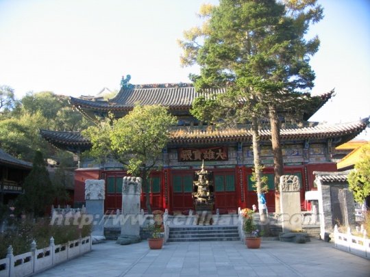 圆照寺